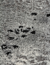 03909S - BLACK / BLACK